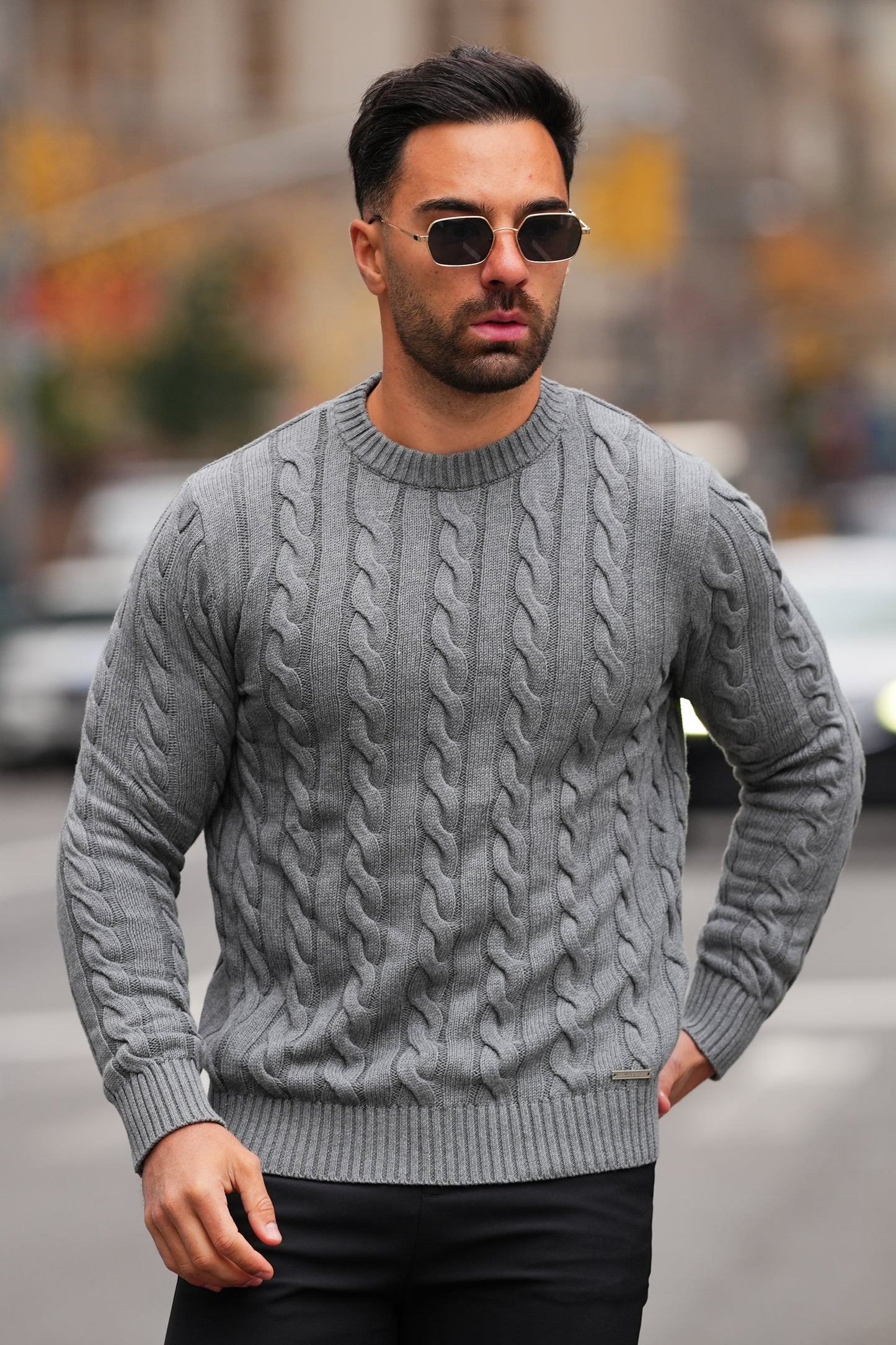 THE CABLE KNIT CREWNECK SWEATER